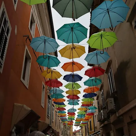 Olivo-2 By Interhome Karpinjan