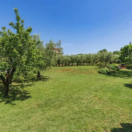 Olivo-2 By Interhome Apartmán Karpinjan