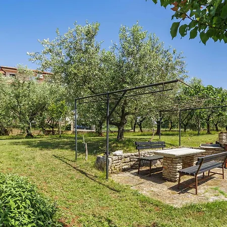 Olivo-2 By Interhome Appartamento