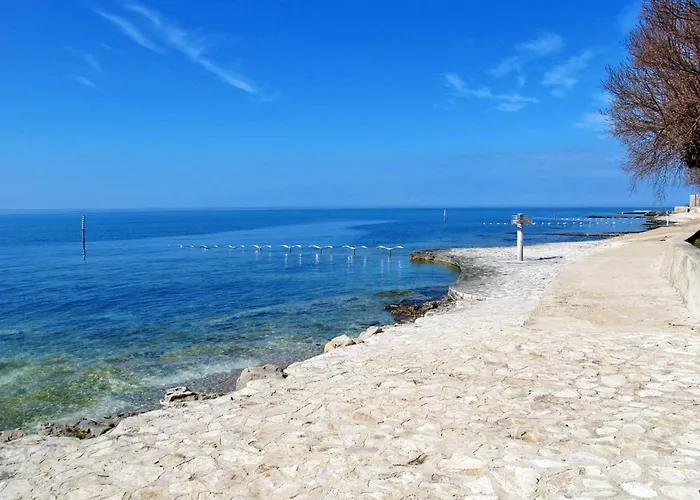 Olivo-2 By Interhome Karpinjan