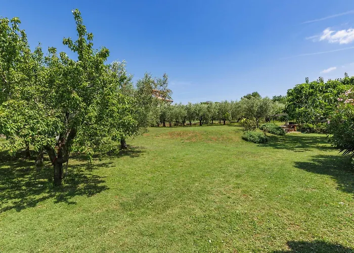 Olivo-2 By Interhome Διαμέρισμα Karpinjan