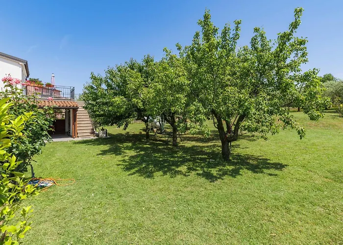 Olivo-2 By Interhome Karpinjan